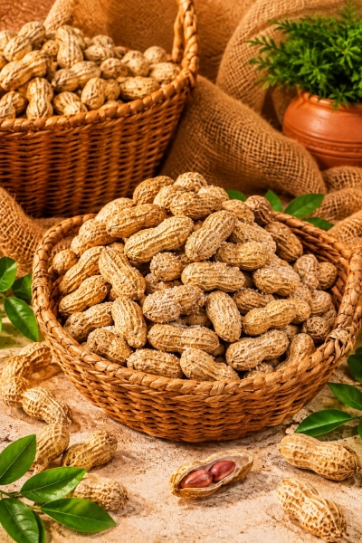 بادام غلافدار یک کیلویی