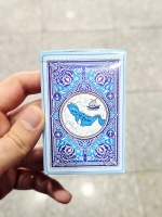 پاسور خلیج فارس