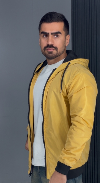بادگیر داخل زرد