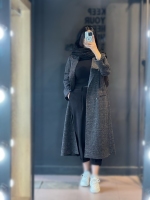 پالتو بیسکویتی