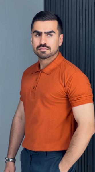 پولوشرت اجری